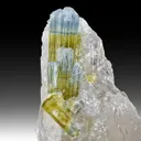 Elbaite with Quartz - image 1