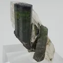 Elbaite with Quartz - image 4