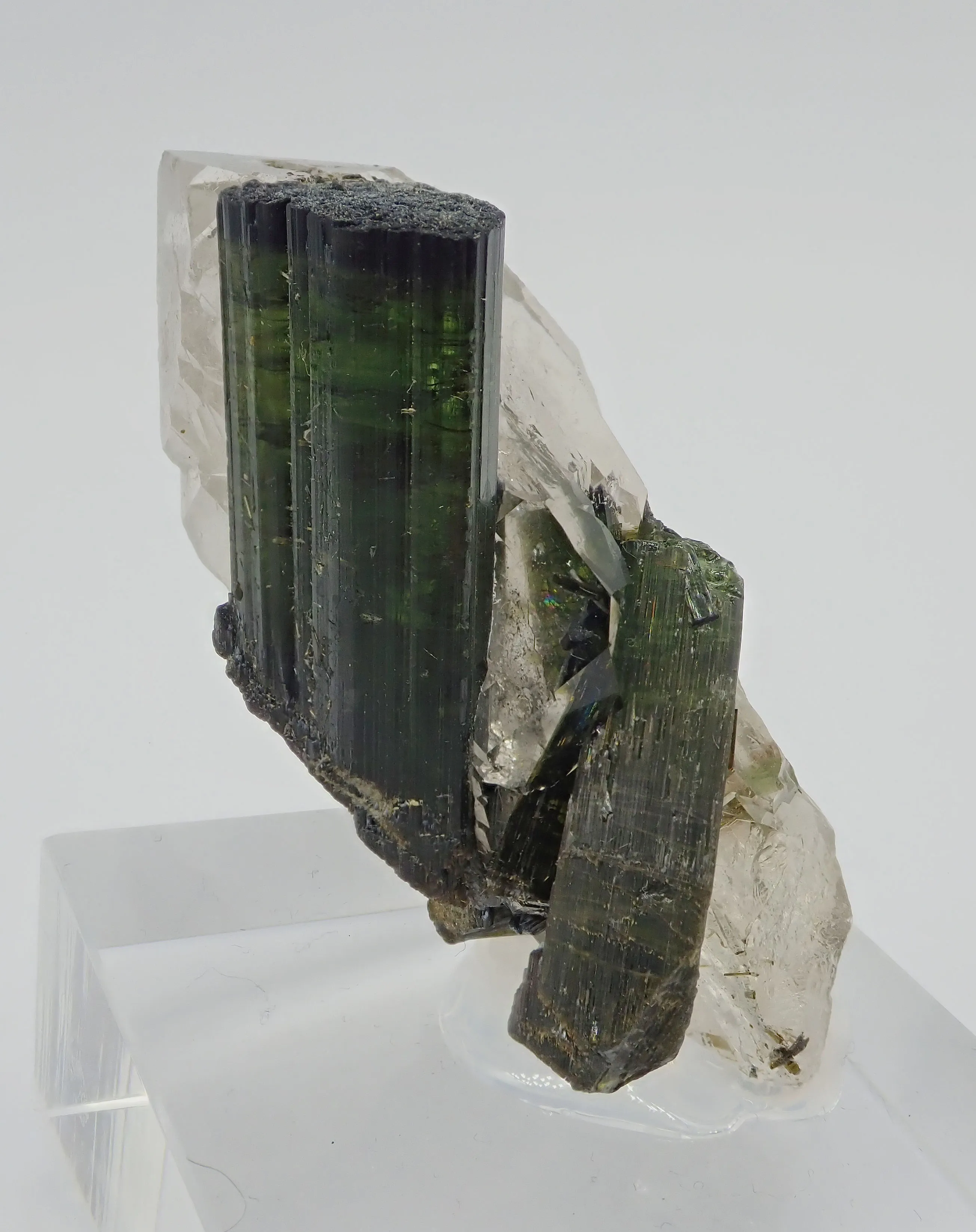 Elbaite with Quartz - image 4