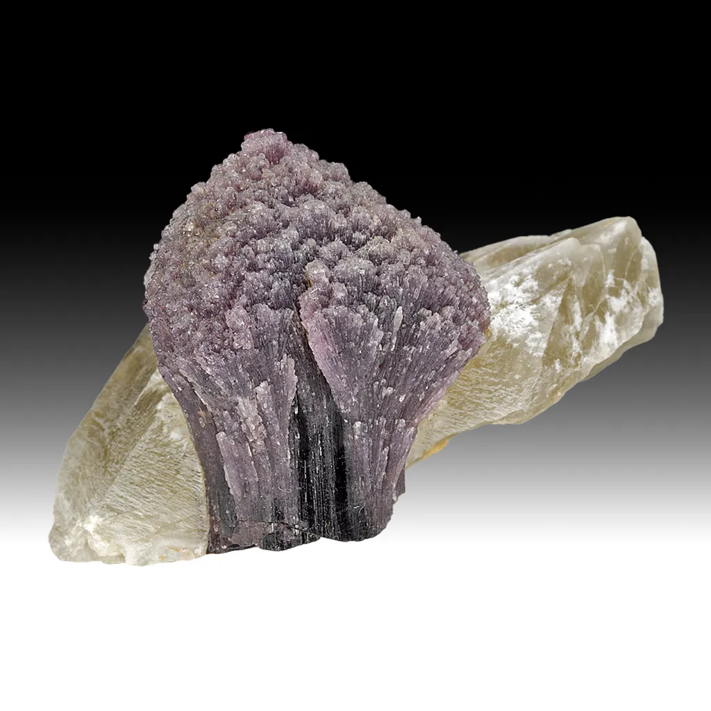 Elbaite with Quartz image