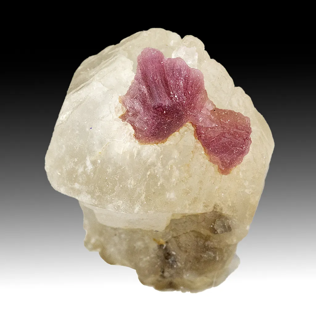 Elbaite with Quartz image