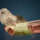 Elbaite with Quartz - image 6