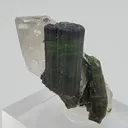 Elbaite with Quartz - image 1