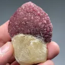 Elbaite with Quartz - image 2