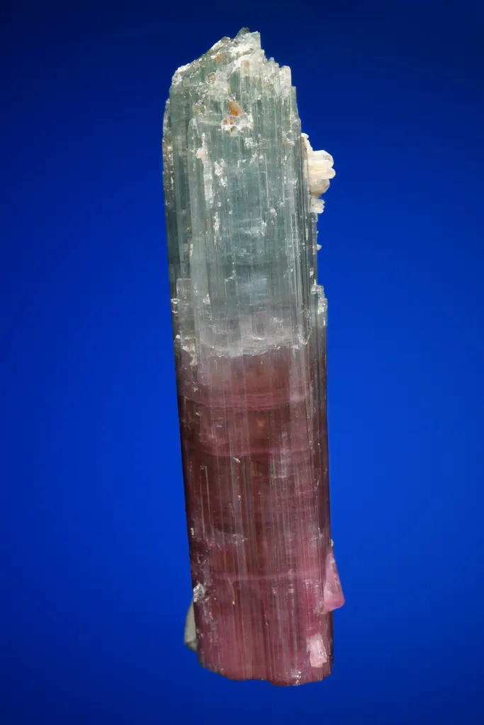 Elbaite with Quartz - image 4