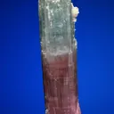 Elbaite with Quartz - image 4