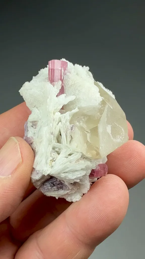 Elbaite with Quartz, Albite - image 2