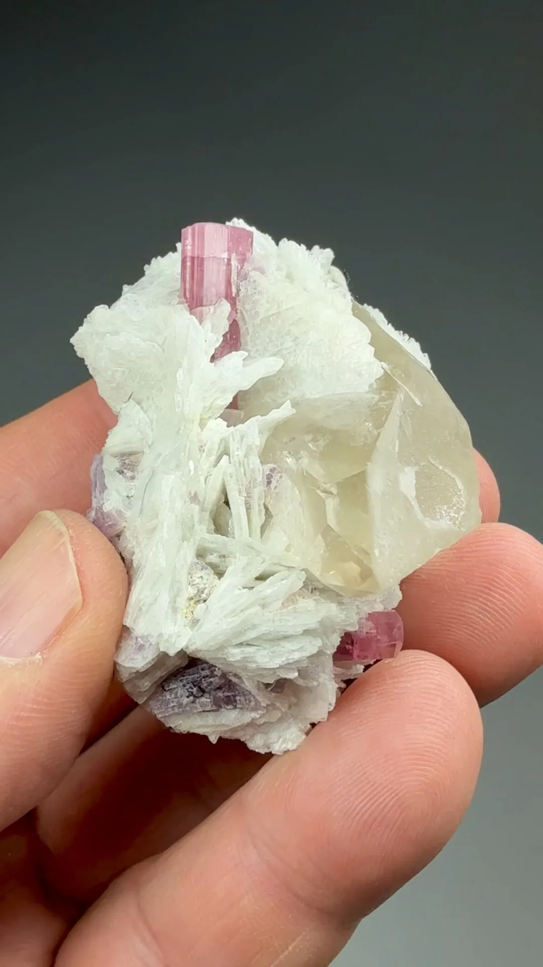 Elbaite with Quartz, Albite - image 2