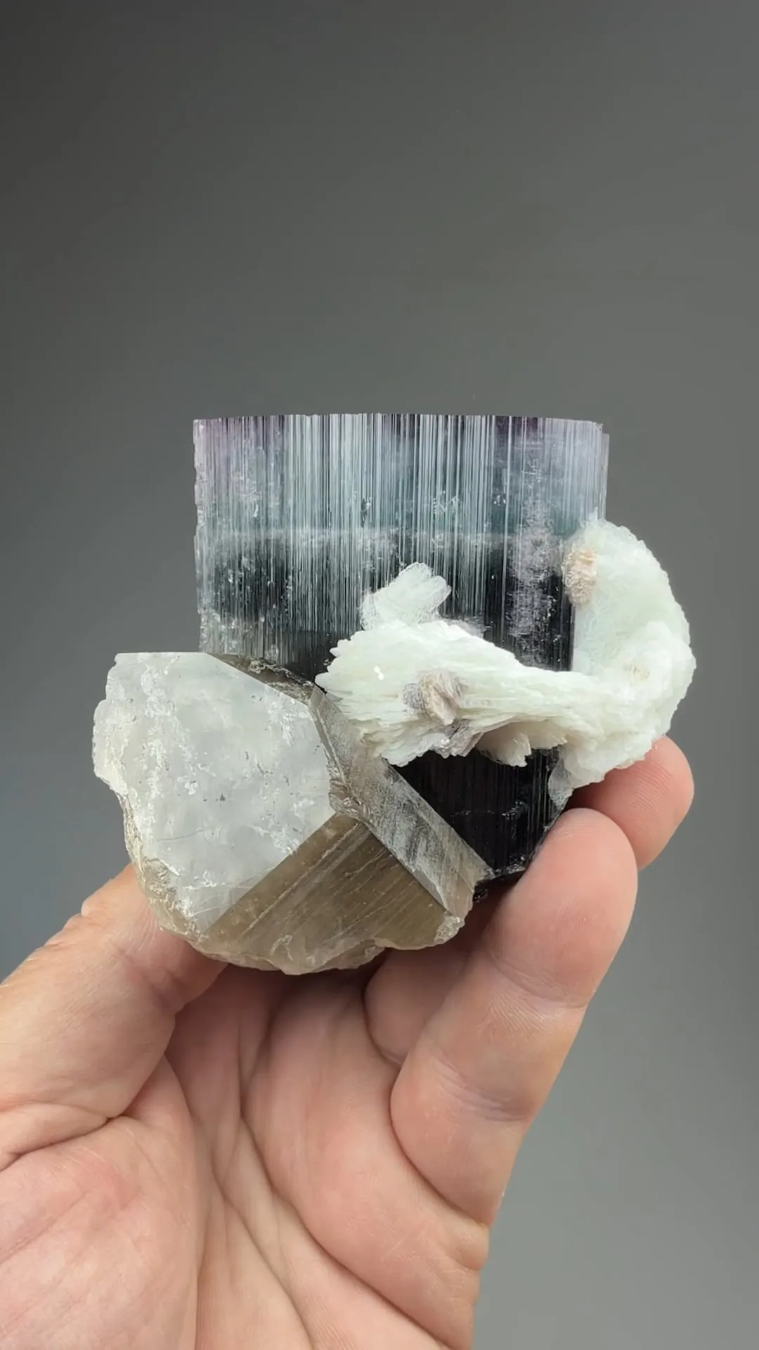 Elbaite with Quartz, Albite - image 3