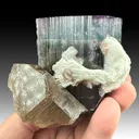 Elbaite with Quartz, Albite - image 2