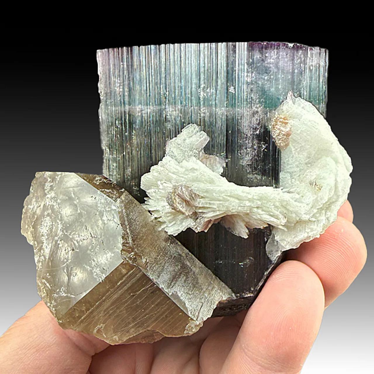 Elbaite with Quartz, Albite - image 2