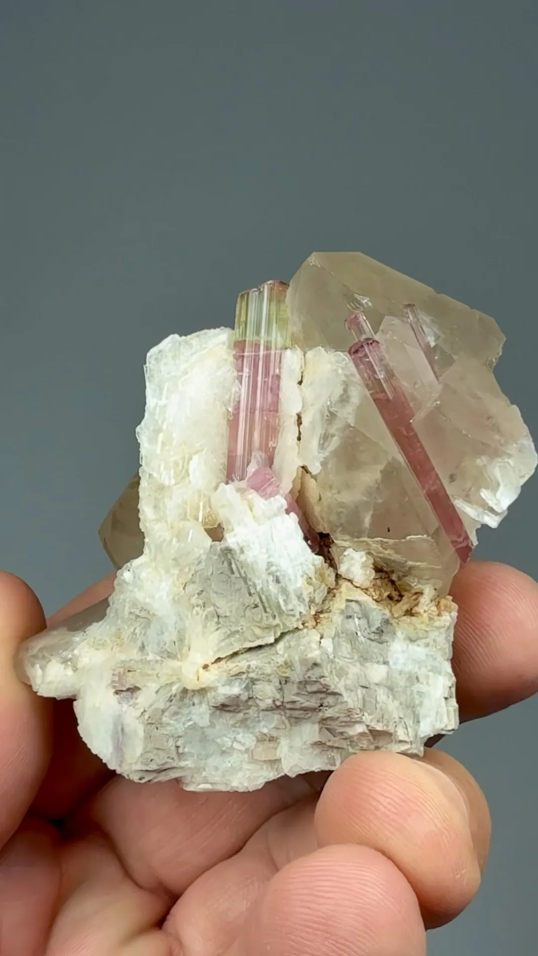 Elbaite with Quartz, Albite - image 2