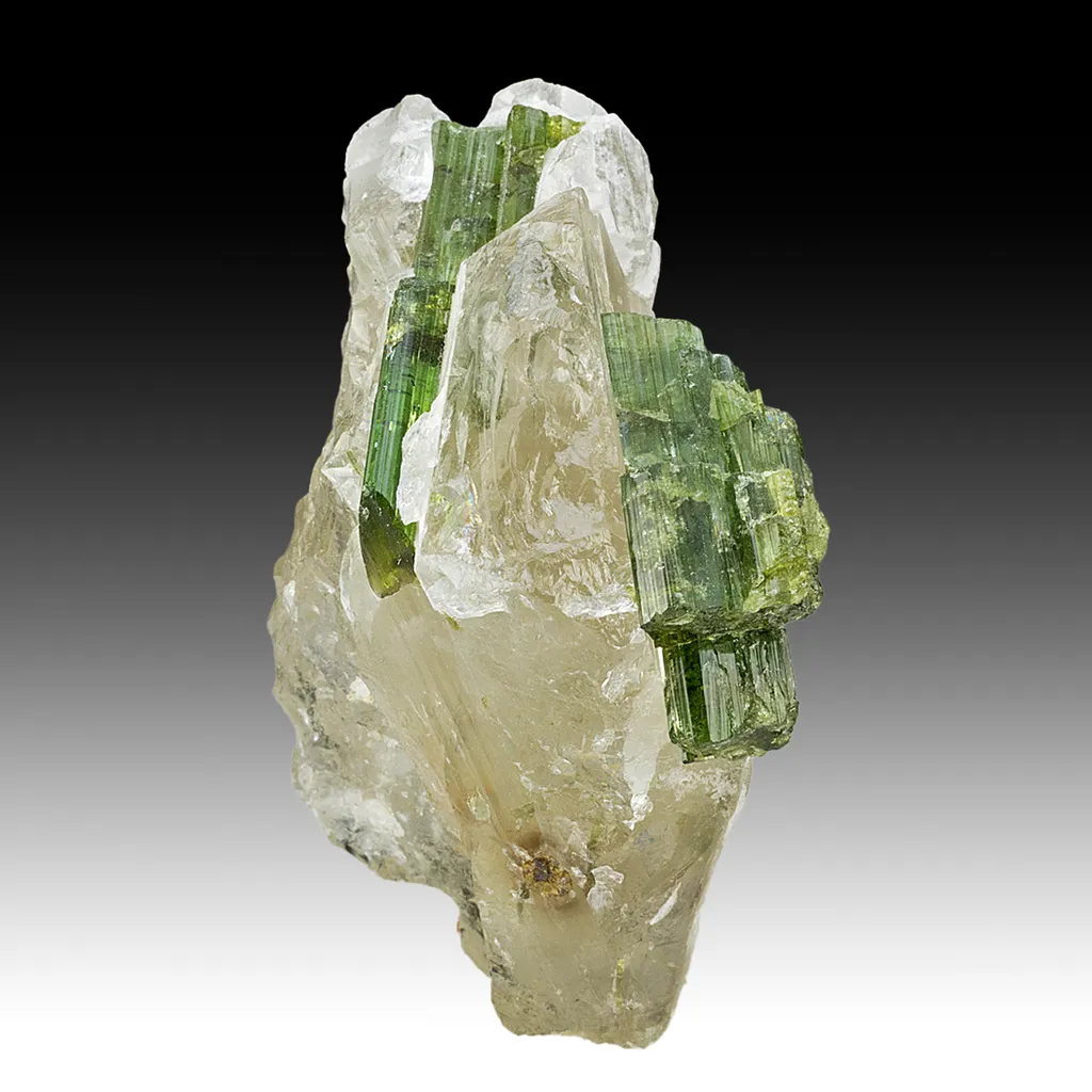 Elbaite with Quartz image