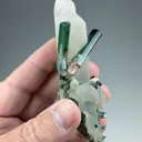 Elbaite with Quartz - image 2