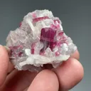 Elbaite with Quartz - image 2