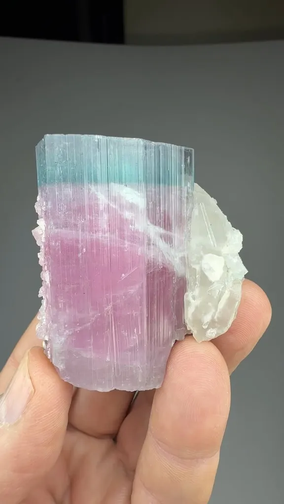 Elbaite with Quartz image