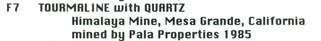 Elbaite with Quartz - image 5