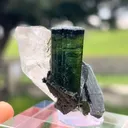 Elbaite with Quartz - image 5