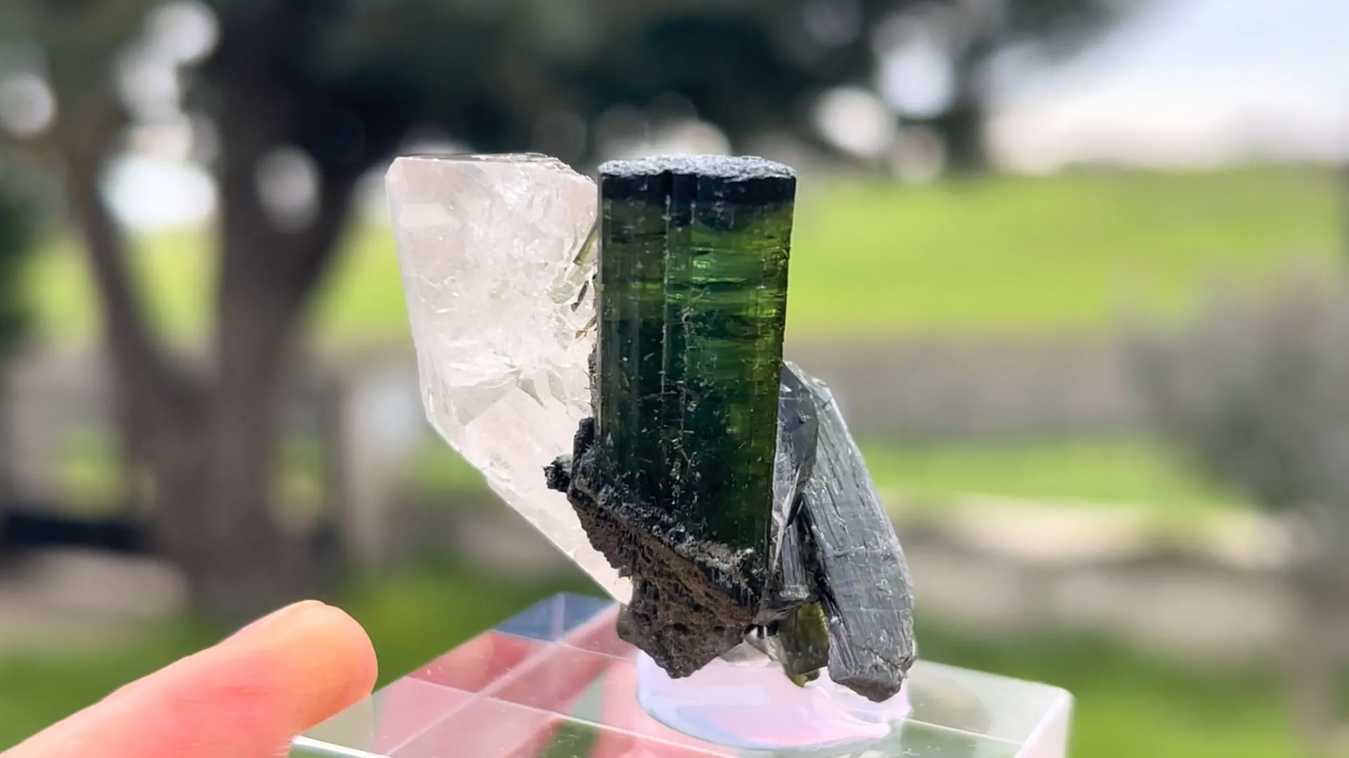 Elbaite with Quartz - image 5