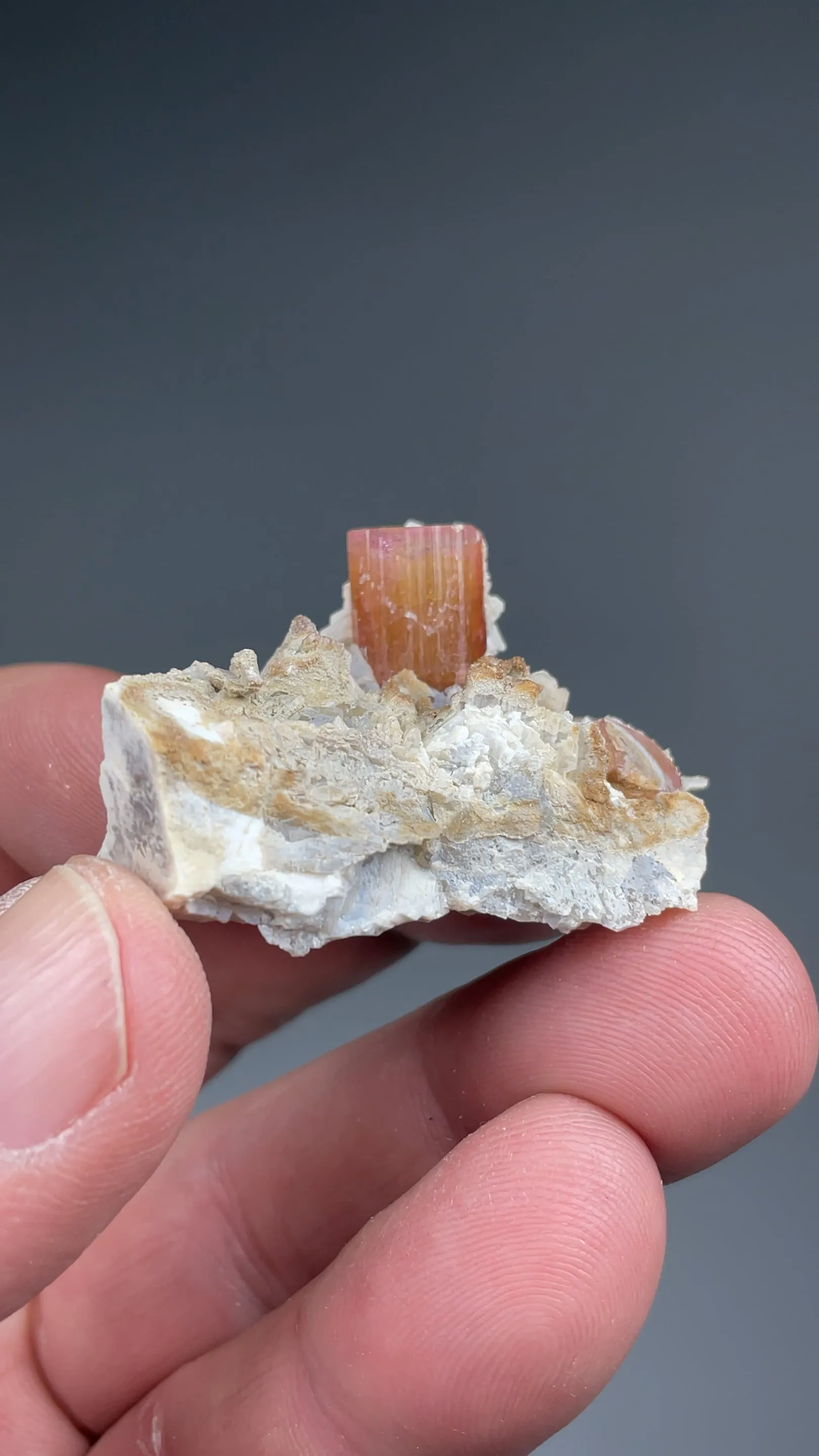 Elbaite with Quartz, Feldspar - image 2