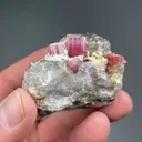 Elbaite with Quartz, Feldspar - image 3