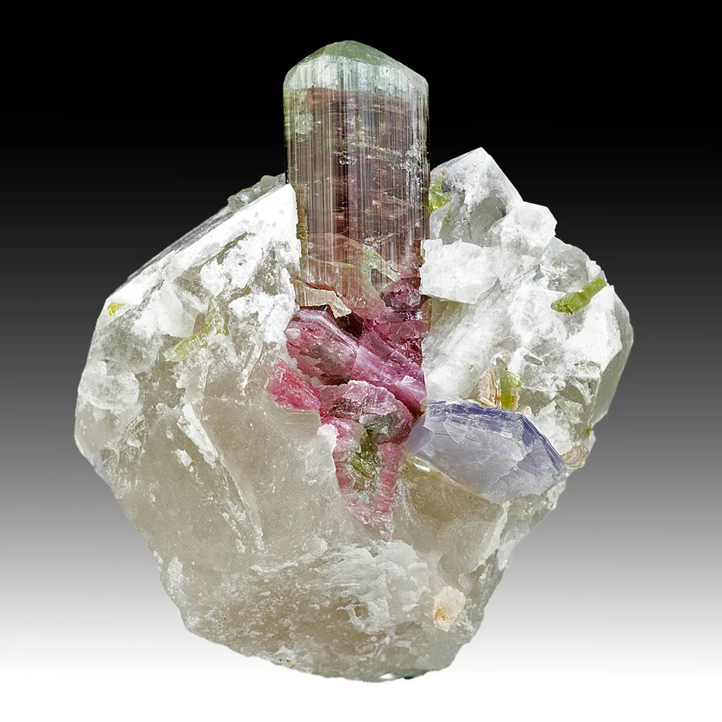 Elbaite with Quartz, Lepidolite image
