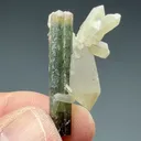 Elbaite with Quartz, Lepidolite - image 2