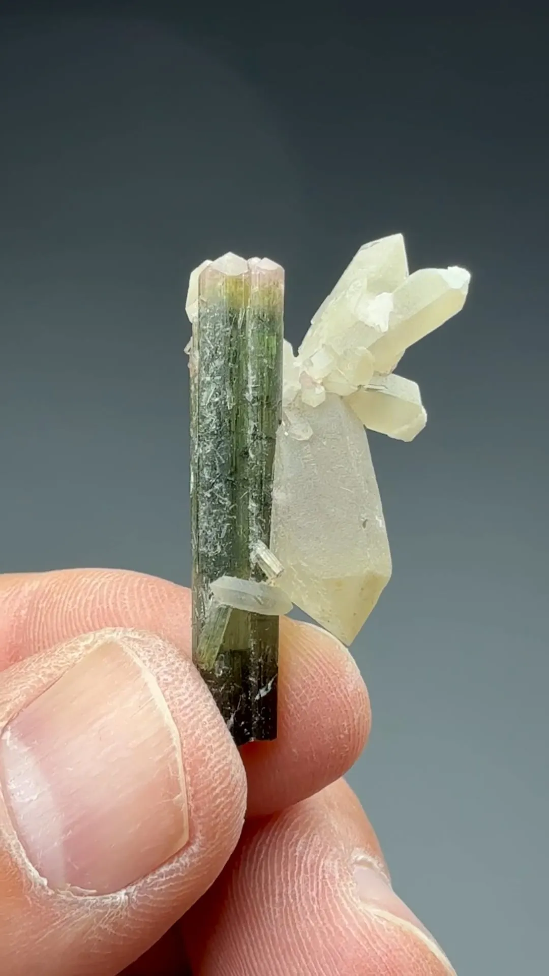 Elbaite with Quartz, Lepidolite - image 2