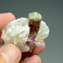 Elbaite with Quartz, Lepidolite - image 2