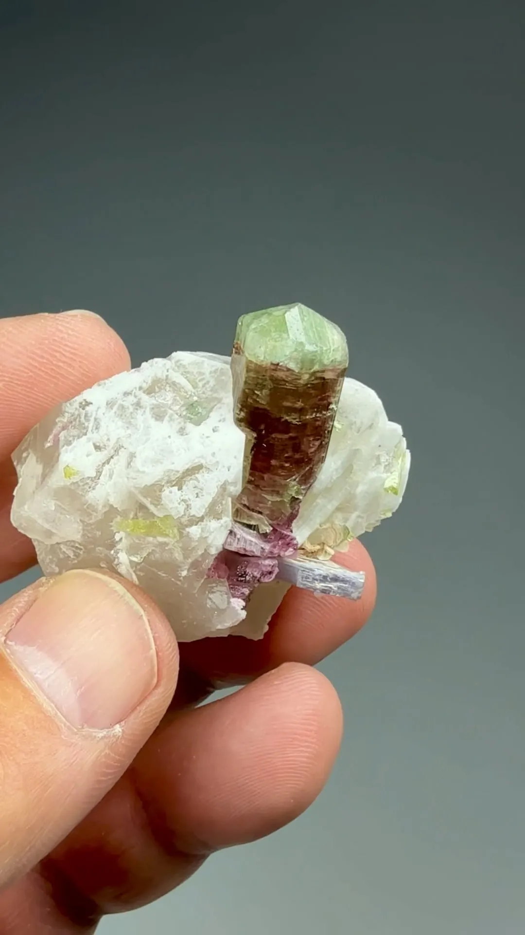 Elbaite with Quartz, Lepidolite - image 2