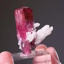 Elbaite with Quartz Tourmaline - image 2