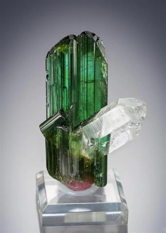 Elbaite with Quartz Tourmaline image