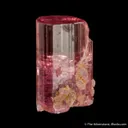 Elbaite with removable Muscovite cast - image 4