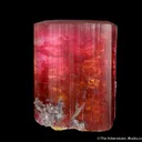 Elbaite with Smoky Quartz - image 1