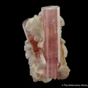 Elbaite with Stilbite - image 3