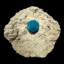 Electric-Blue Botryoidal Cavansite Rosette on Sparkling Heulandite Matrix – Rare Indian Zeolite Mineral Specimen from Pune - image 1