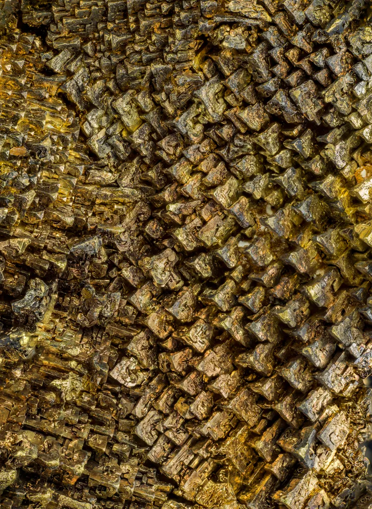 Electrum - image 2