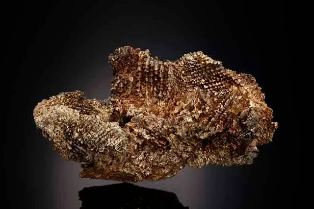 Electrum - image 4