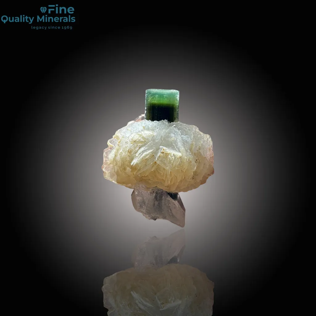 Elegant Tourmaline and Quartz Combination image