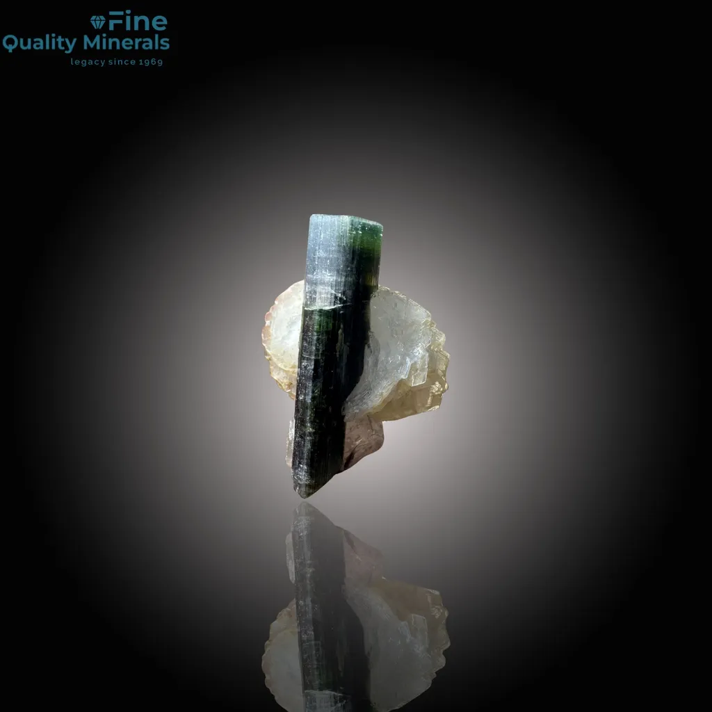 Elegant Tourmaline and Quartz Combination - image 3