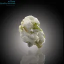 Elegant Tourmaline Cluster on Feldspar Matrix - image 2