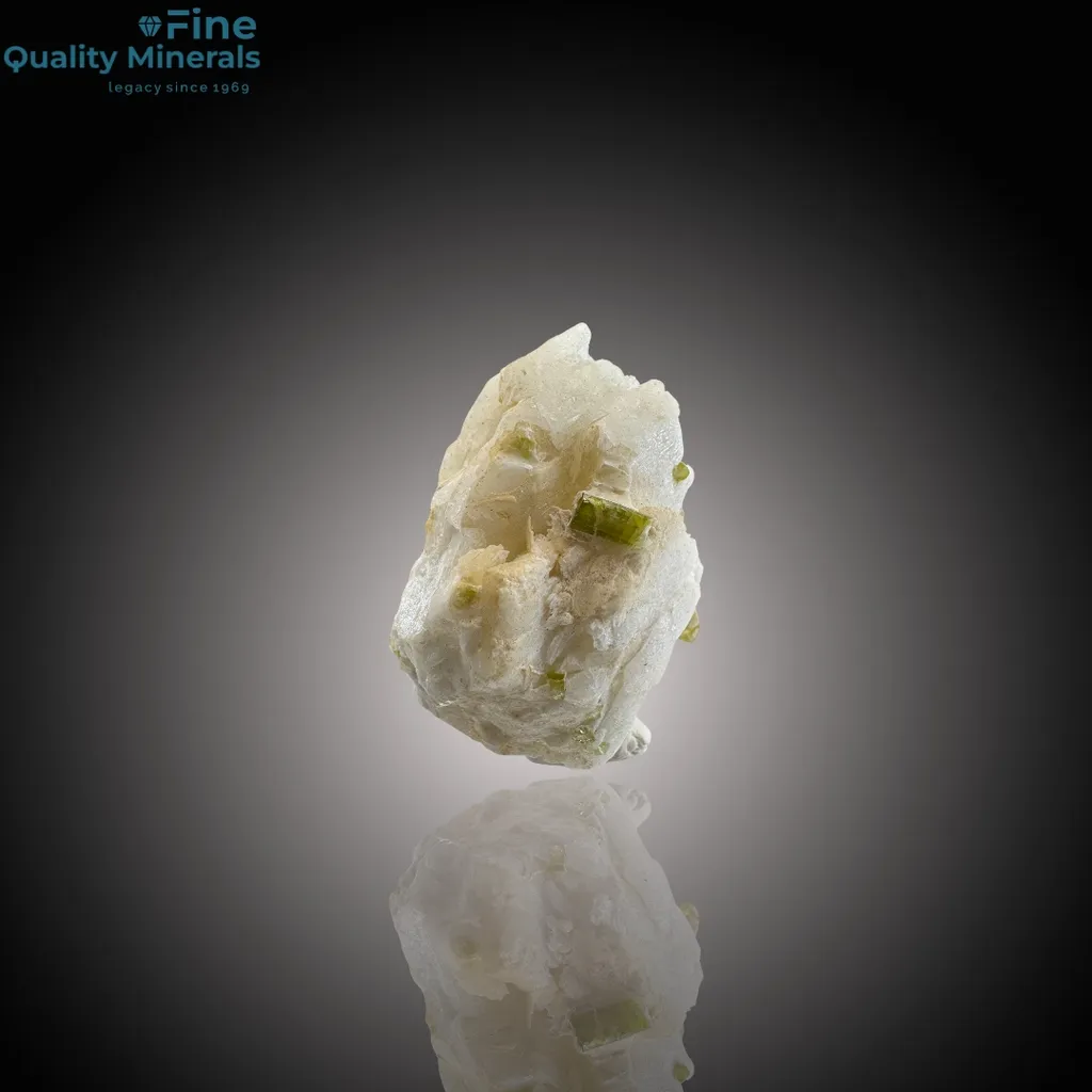 Elegant Tourmaline Cluster on Feldspar Matrix - image 3