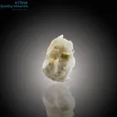 Elegant Tourmaline Cluster on Feldspar Matrix - image 3