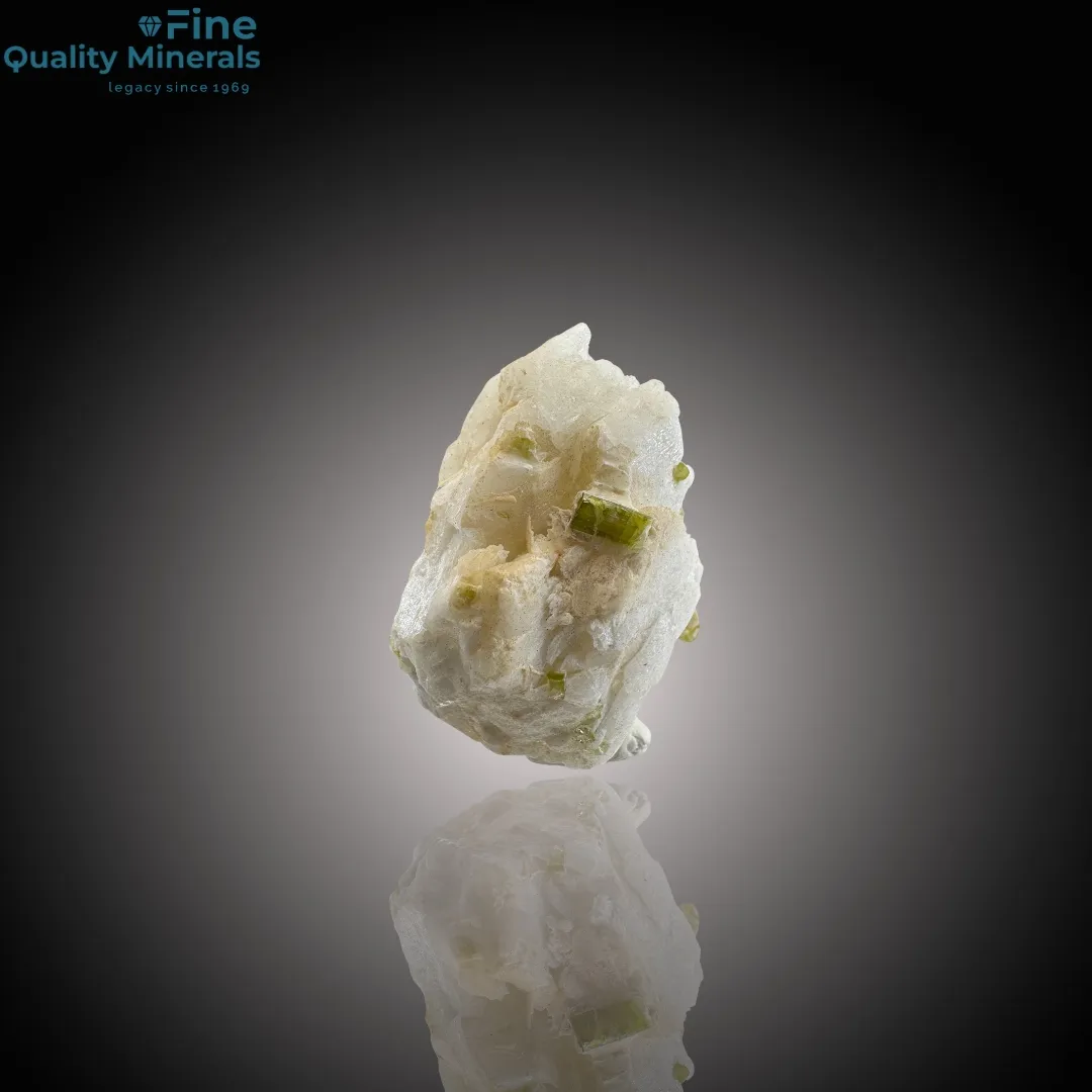 Elegant Tourmaline Cluster on Feldspar Matrix - image 3