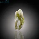 Elegant Tourmaline Cluster on Feldspar Matrix - image 4