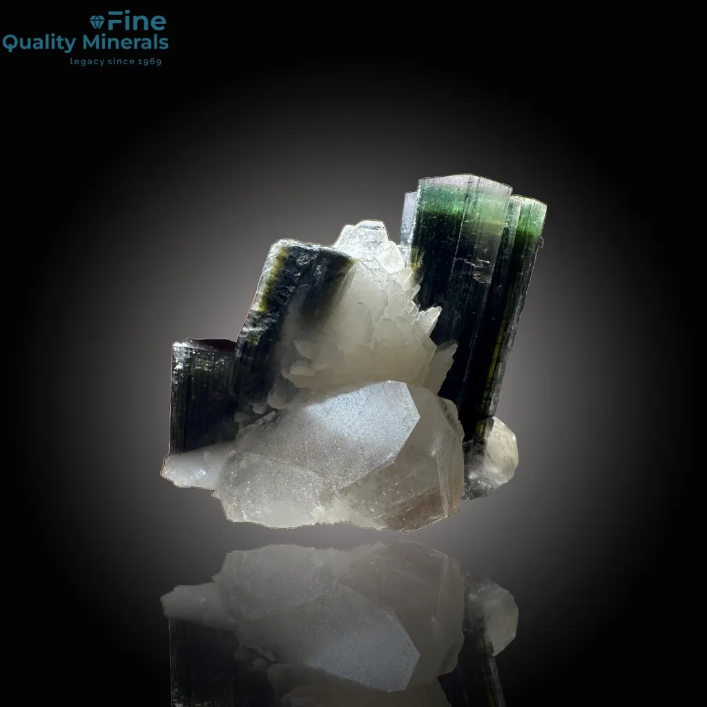 Elegant Tourmaline on Quartz Distinctive Specimen image