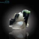 Elegant Tourmaline on Quartz Distinctive Specimen - image 1