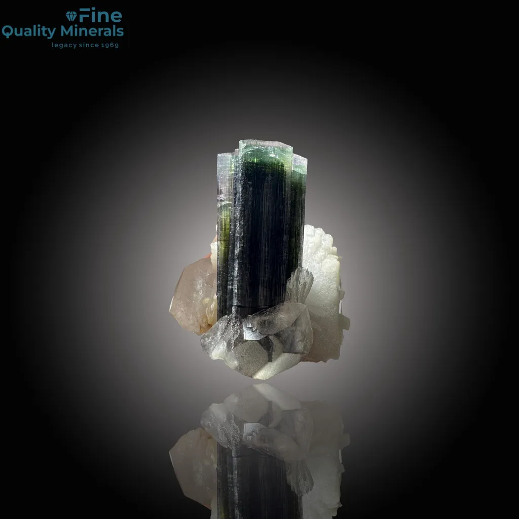 Elegant Tourmaline on Quartz Distinctive Specimen - image 3