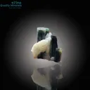 Elegant Tourmaline on Quartz Distinctive Specimen - image 2