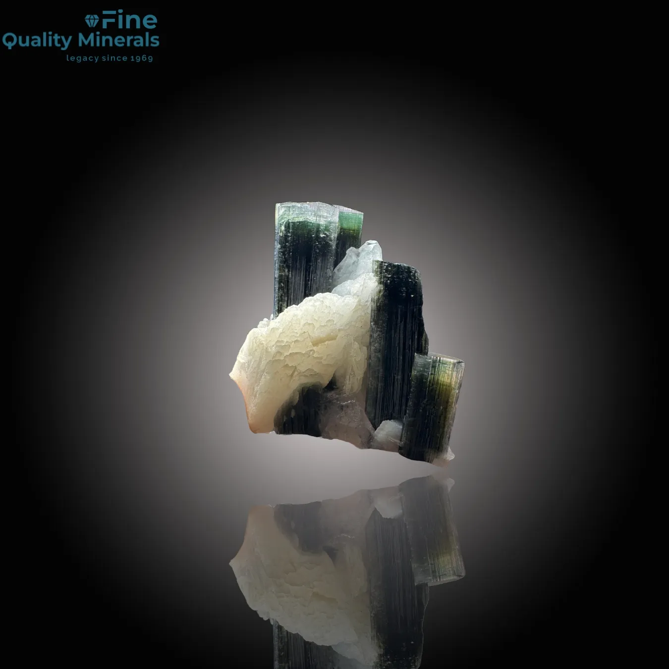 Elegant Tourmaline on Quartz Distinctive Specimen - image 2